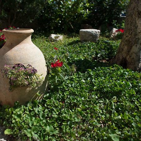 Grandi Trulli Bed & Breakfast Αλμπερομπέλο Εξωτερικό φωτογραφία